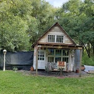 Meet your Posher, Gracie